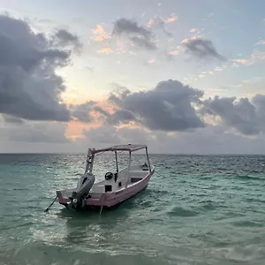 Affittacamere Home's Jungle Puerto Morelos 20 Minutes From The Airport Cancún